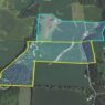 Henderson County Land Auction: Pruett 280 +/- Acres SOLD Tract 1$6550, Tract 2 $5900