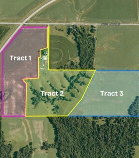 McDonough County Land Auction: Miller Family Trust 158.17 Surveyed Acres, Selling in 3 Tracts