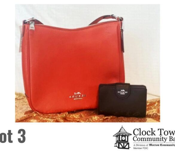The McDonough County United Way Power of the Purse LIVE Auction