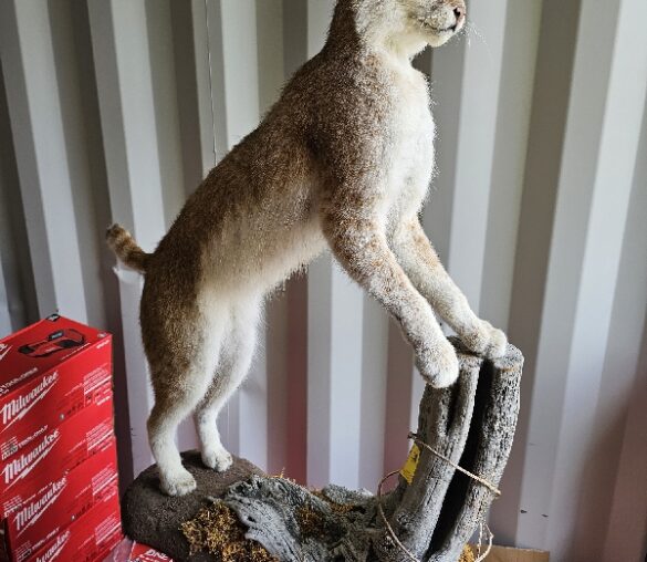 Warren County Consignment Auction