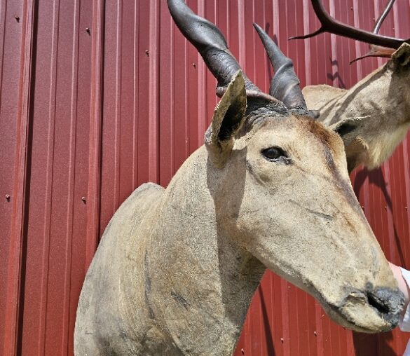 Warren County Consignment Auction