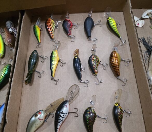 Winter ONLINE ONLY Multi-Party Auction